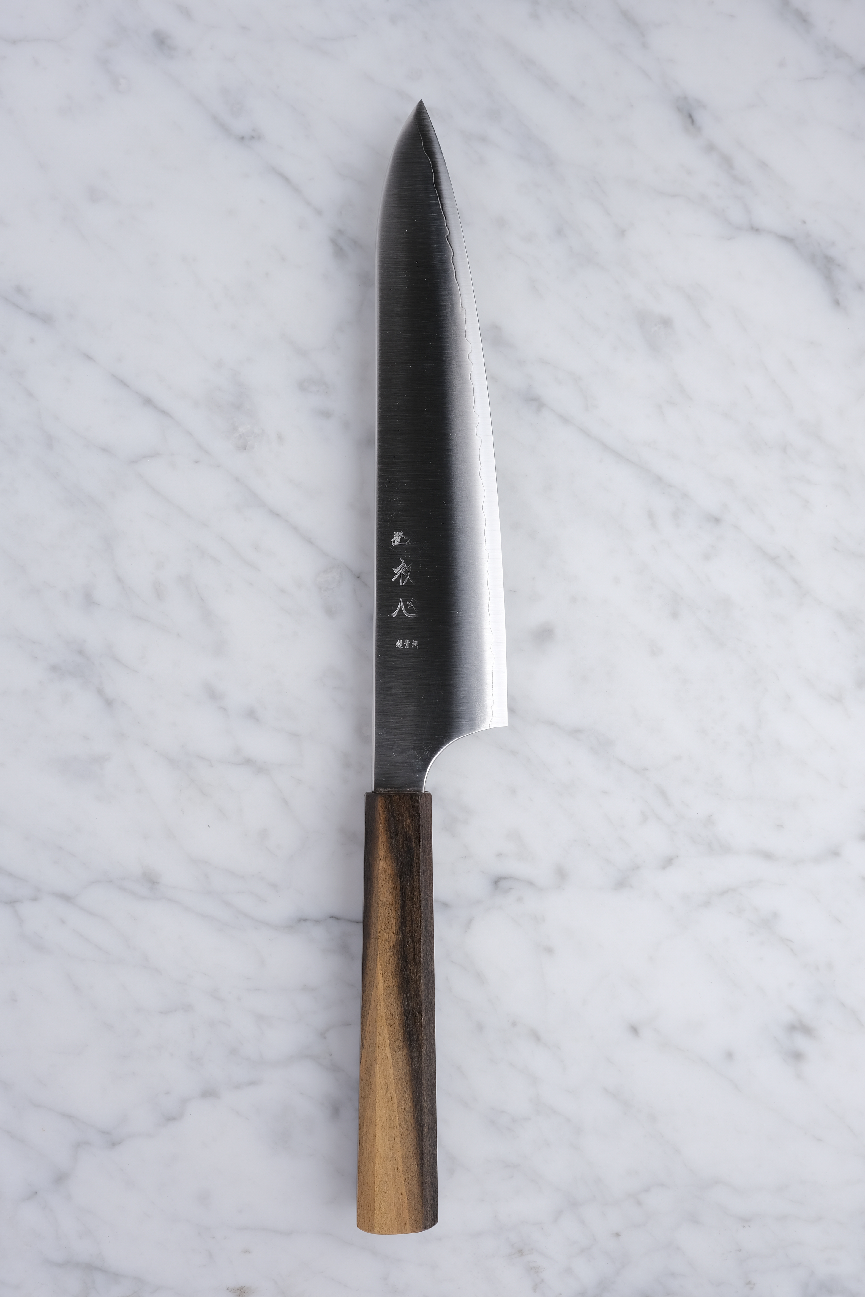 Hatsukokoro Hayabusa Aogami Super 210mm. Chef's knife
