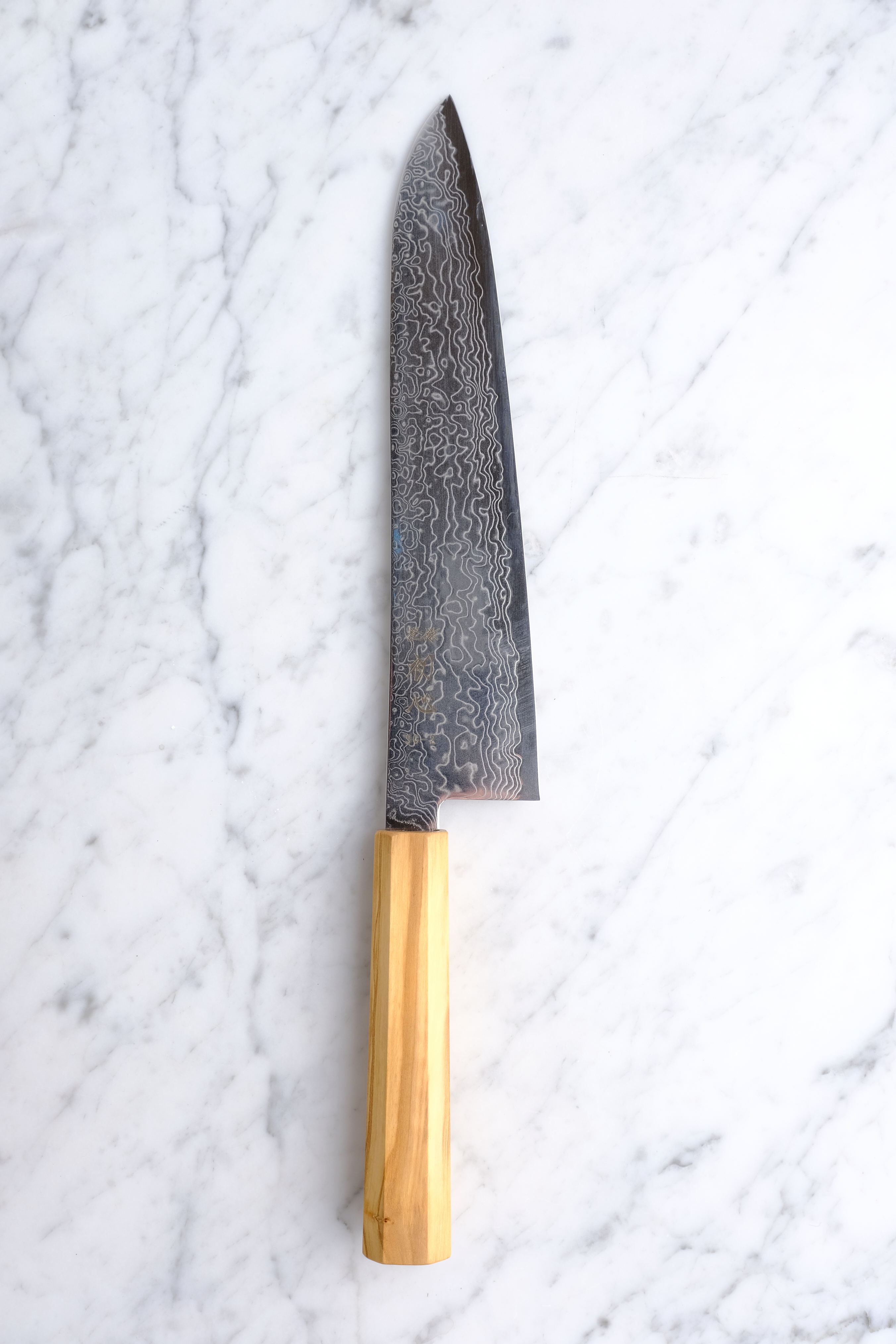 Hatsukokoro Ryuhyo SG2 - 240mm Gyuto